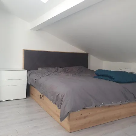 Studiju Palanga
